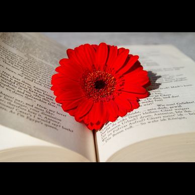 傷まない縮毛矯正・ストレートパーマとは？